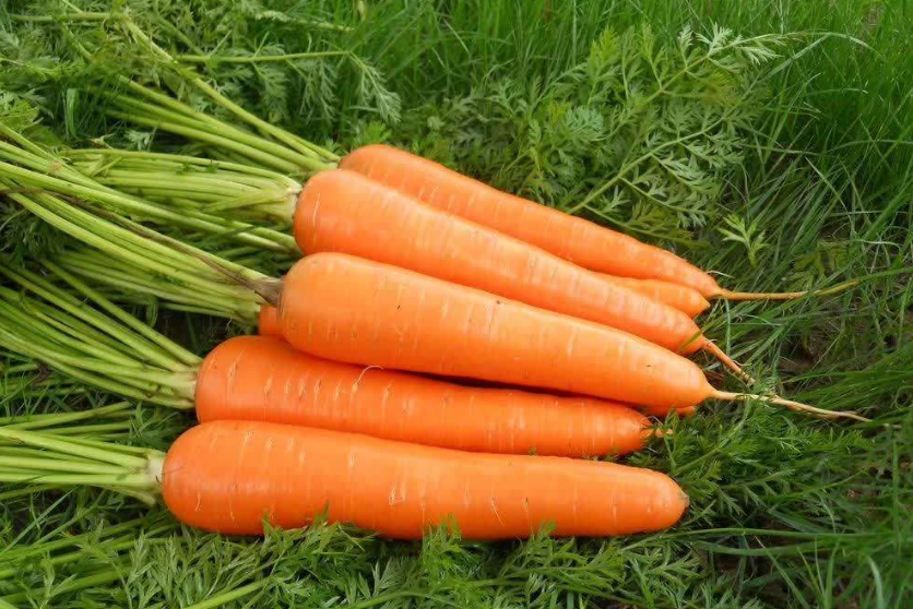 415662e8a408cf9a40d12011bccfb3ae_image(58)