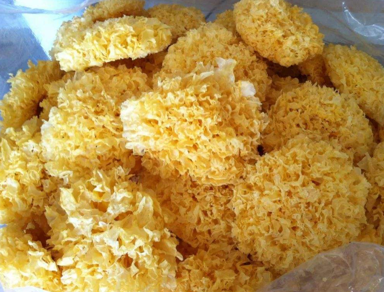 6303f70b5e1092ce1f4250af2961eb73_image(85)